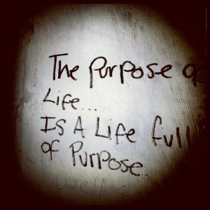 Find Your True Purpose