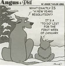 A Peek at My 2014 Resolutions